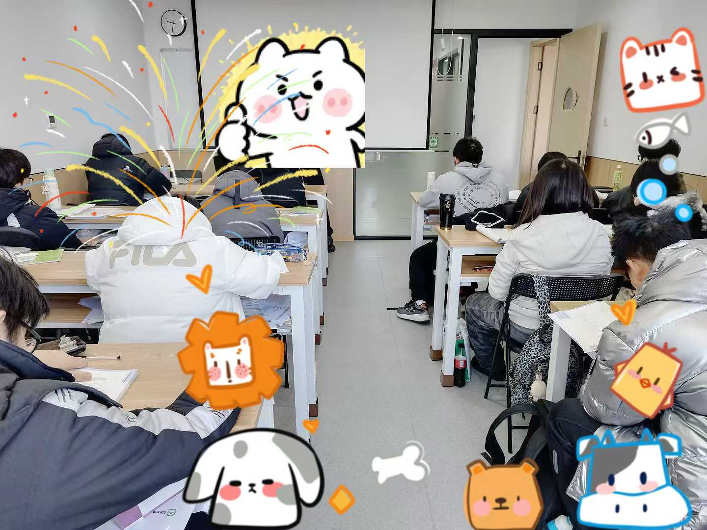 五年一贯制专转本，选机构居然要看这些？